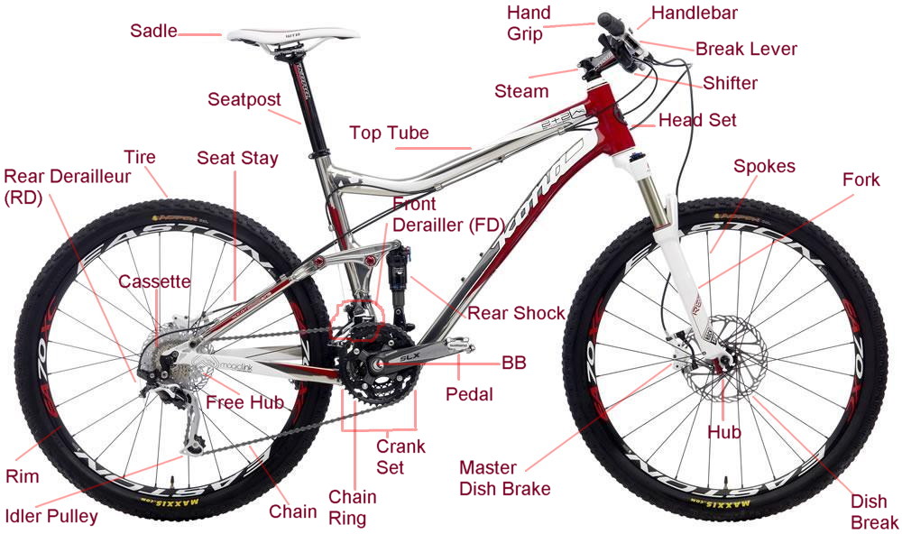 Mountain Bike Anatomi Sepeda MTB