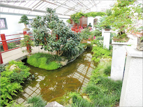 Garden of Weedlessness del Jardín Botánico de Montreal