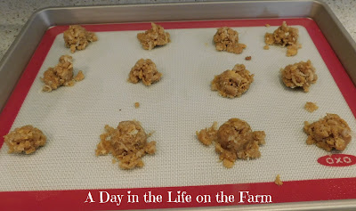 Cornflake Cookies