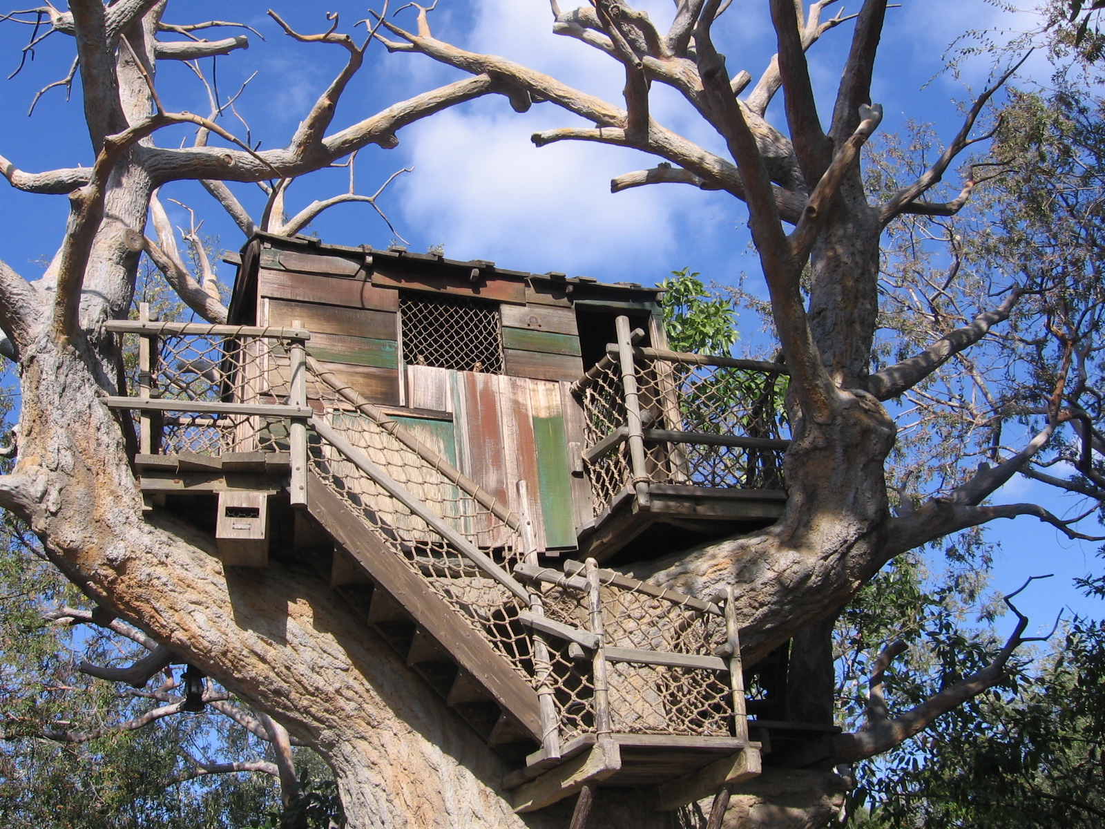 Top 20 Beautiful  And Amazing Tree  House  Wallpapers Pics
