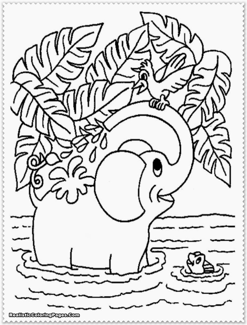 jungle animal coloring pages preschoolers jungle animal coloring pages printable