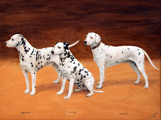 Dalmatian Wallpapers