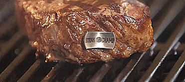 AWESOME SteakChamp Meat Thermometer Uses an LED Light To Tell You When Steak Or Meat Is READY