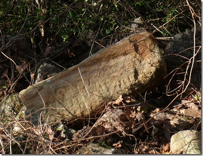 P1120950
