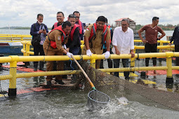 Gubernur Kepri Ikut Panen Perdana Ikan Bawal Bintan di KJA Kampung Budidaya Perikanan Kampung Keter Tengah