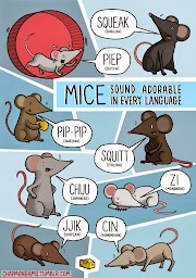 Terpopuler 36+ Bagaimana Suara Tikus