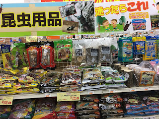 A variety of beetle goods including tree logs and jelly for feeding