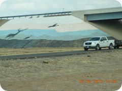 DSCN2776