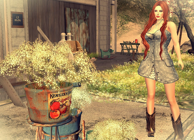 gabrielle denim dress,shiny shabby may