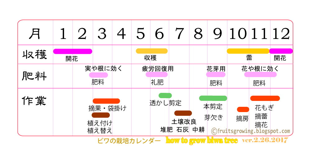 ビワの木の育て方 おいしい鉢植え果樹の栽培育て方 自宅を果樹園に