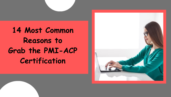 Project Management, PMI Agile Practitioner Exam Questions, PMI Agile Practitioner Question Bank, PMI Agile Practitioner Questions, PMI Agile Practitioner Test Questions, PMI Agile Practitioner Study Guide, PMI-ACP Quiz, PMI-ACP Exam, PMI-ACP, PMI-ACP Question Bank, PMI-ACP Certification, PMI-ACP Questions, PMI-ACP Body of Knowledge (BOK), PMI-ACP Practice Test, PMI-ACP Study Guide Material, PMI-ACP Sample Exam, Agile Practitioner, Agile Practitioner Certification, PMI Agile Certified Practitioner, Agile Practitioner Simulator, Agile Practitioner Mock Exam