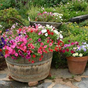 Plant Containers