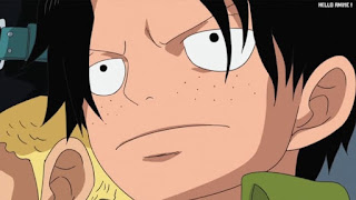 ワンピースアニメ 498話 エース 幼少期 | ONE PIECE Episode 498 ASL