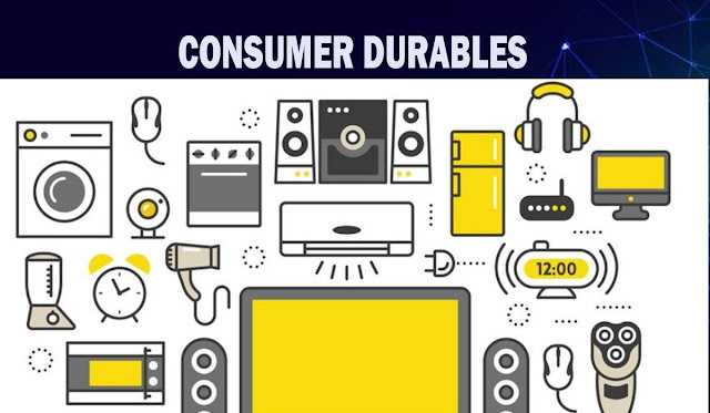 Careers in the Consumer Durables Industry