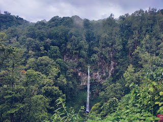 eran Generasi Muda Menyelamatkan Hutan Indonesia