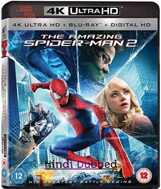 The Amazing Spider-Man 2 [2014] Hindi Dubbed  Full  Movie Download Dual Audio  Hindi-English HDRip  480p | 720p  HD
