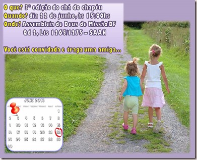 3 cha do chapeu 22 06 2013