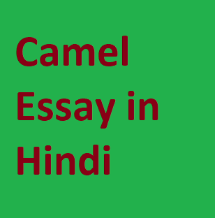 Essay on Camel in Hindi | ऊंट पर निबंध