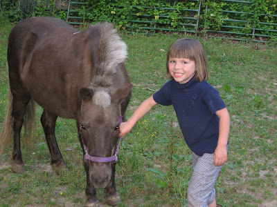 Focus America Supports Seaton Hackney Stables in Morristown, NJ