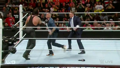 WWE Undertaker Destroy Shane McMahon in