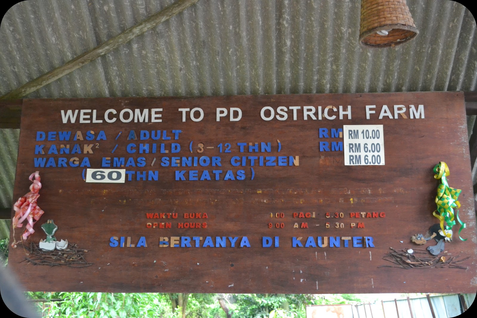 MY ALL: Ostrich Farm, Port Dickson