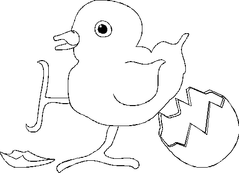 Posted in Animal Animal Drawings Animal Print Bird Drawings 