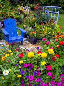 jardin-flores-coloridas