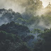 Land use change has warmed Earth's surface