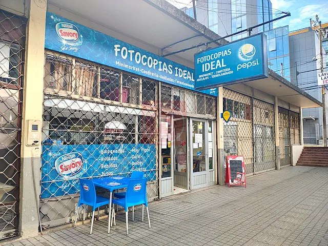 Robo en Osorno: Violentan acceso de un local comercial y sustraen especies