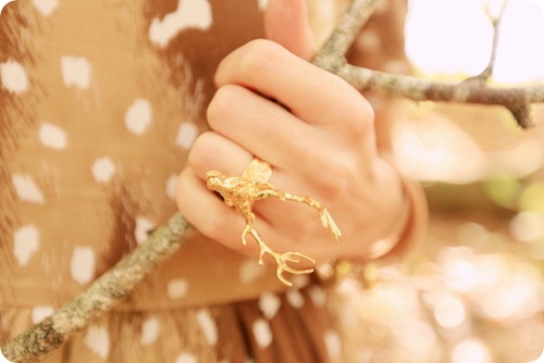 digby-Iona-deer-ring-02