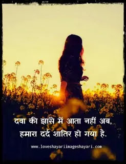 Beautiful motivational love shayari in hindi.