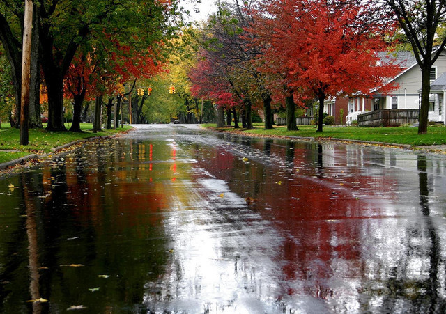 Autumn Rain5