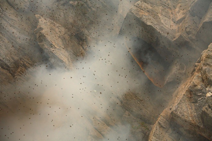 honey-hunters-nepal-18