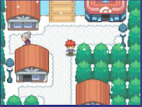 Pokemon The Keepers of Order Screenshot 10