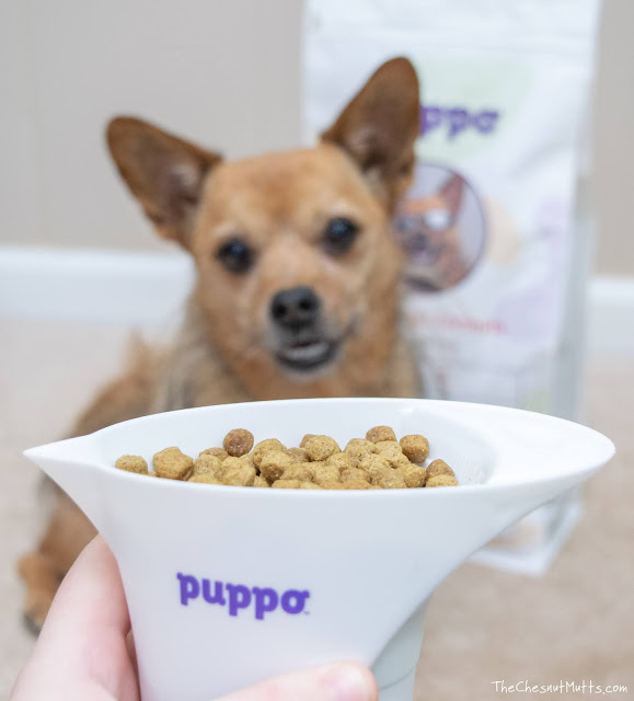 Jada and Puppo dog food kibble