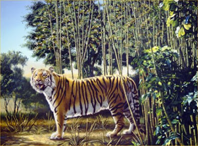 the hidden tiger, mind trick, optical illusion, entertainment, strange