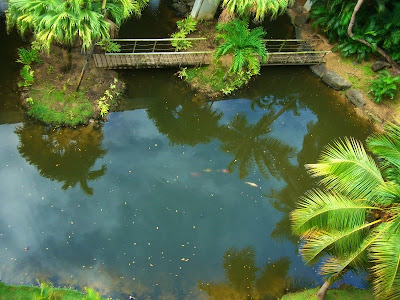 Hotel Pond in Rio Mar Beach Resort