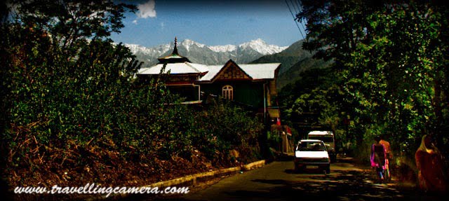 Glimpses of Palampur Town with Travelling Camera: Posted by VJ Sharma @ www.travellingcamera.com : Palampur, a dream place to live... Really, I have been to Palampur many times and more I visit this place, more I fell in love with this place... Town with wonderful views of snow covered Dhauladhar Mountains, Naturally rich has most of the modern facilities available...Here is a view from Tea Gardens near Neugal Cafe...Just entered into Palampur Town: From this Photograph you can make an idea that mountains around Palapur are clearly visible from most of the areas in this town... Weather in this town is amazing... Its not as crowded as Shimla and is comparatively rich in terms of basic facilities like Water, Light etc..A Photograph shot from moving car in the middle of Palampur Market... You can also see snow covered hills from here also ;-) .. Palampur Market is lovely place to spend your evenings..Most of the telecommunication service providers are there in Palampur and its not only the case for telecom services, but other types are services are also available with broad range of varieties. Palampur is very well connected through Bus, Train and there is also an Airport in Kangra....More clear view of Dhauladar Mountains from Neugal Khad....Palampur was a part of the local Sikh Kingdom before it came under the British raj. It was one of the leading hill states and was once a part of the Jalandhar kingdom. There are countless water streams, tea gardens and rice paddies. The town of Palampur came into being when Dr. Jameson who was Superintendent of Botanical Gardens and introduced the tea bush from Almora in 1850. The bush thrived and so did the town which became a focus of the European tea estate owners. Since then the Kangra tea of Palampur has been known internationally.