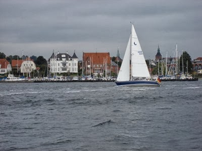 tn_DSC09003