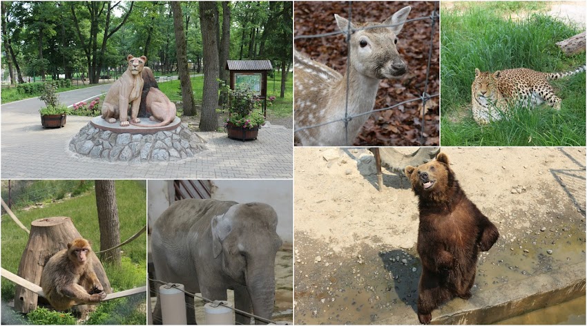 Gradina Zoologica din Targu Mures