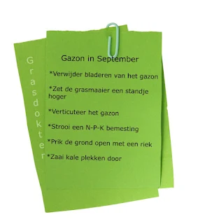 gazon in september