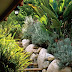 A Laguna Beach Garden