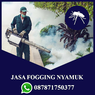 Hubungi : 087871750377 Jasa Fogging Nyamuk Murah di Candisari Semarang