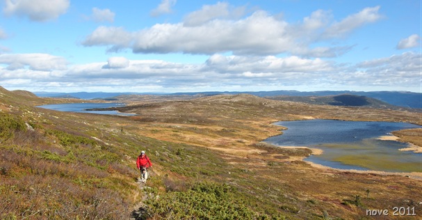 fridag to 016