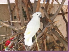220px-Henry_Vilas_Zoo_IMG_2382