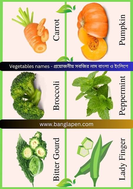 Vegetables names - প্রয়োজনীয় সবজির নাম বাংলা ও ইংলিশে