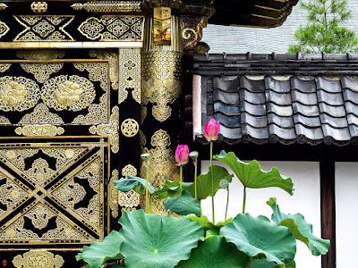 Sacred lotus flowers: Kencho-ji