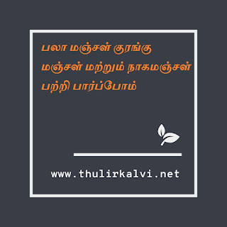 பலா மஞ்சள் குரங்கு மஞ்சள் மற்றும் நாகமஞ்சள் பற்றி பார்ப்போம்