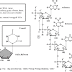 Struktur Dan Jenis Ribonucleic Acid (Rna)