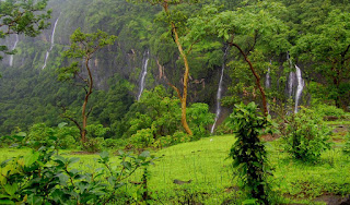The scenic nature view of Bhimashankar